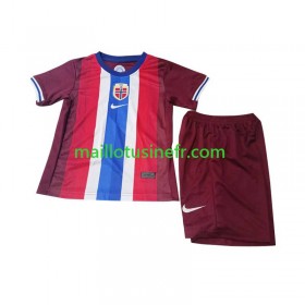 Maillot de Foot Norvège Domicile 2024 - Enfant